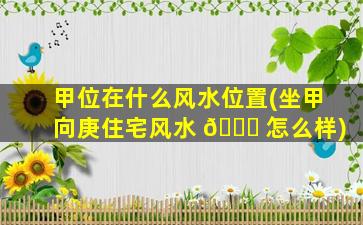 甲位在什么风水位置(坐甲向庚住宅风水 🐝 怎么样)